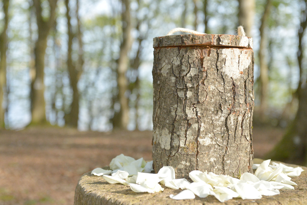 Grabarten Baumbestattung