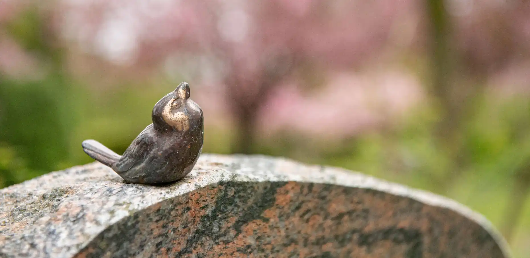 Erdbestattung in Barchfeld-Immelborn